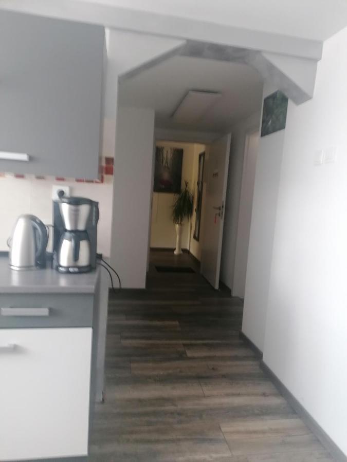 Ferienwohnung Andreea Saarlouis Bagian luar foto
